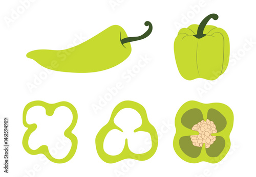 Green Bell Pepper - Vector Illustration.
