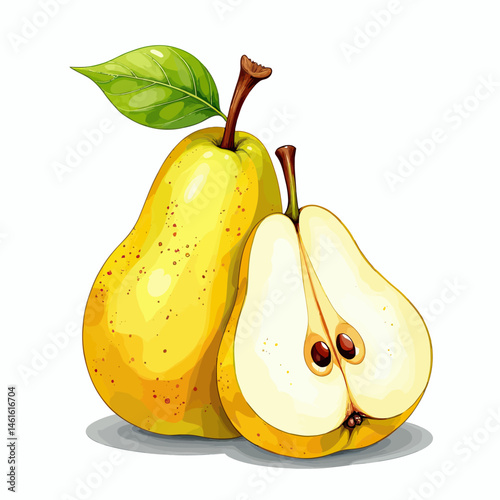 Watercolor Vector illustration of sliced pear with seeds visible best for print, sticker, wall art or clipart.
