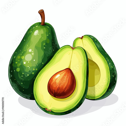 Watercolor Vector illustration of avocado slices in wedges best for print, sticker, wall art or clipart.