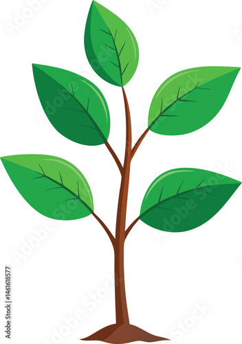 Young sapling