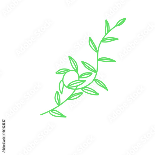 Illustration Of Green Vine Plants