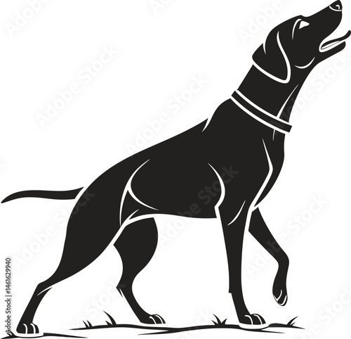 A vector illustration shows a standing black and white dog silhouette, a domestic mammal pet