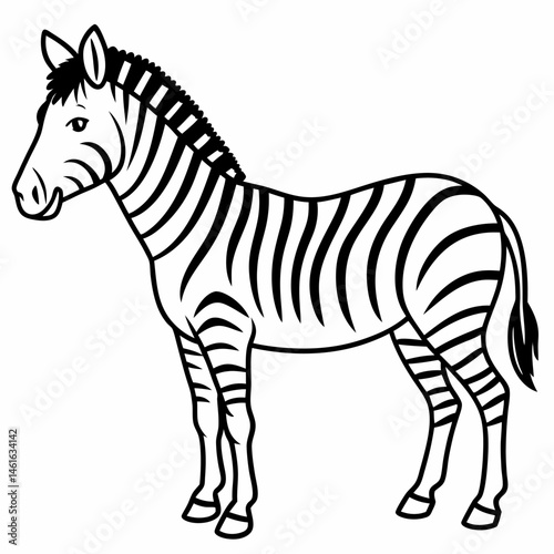 Black and White Zebra Illustration . Line Art Drawing