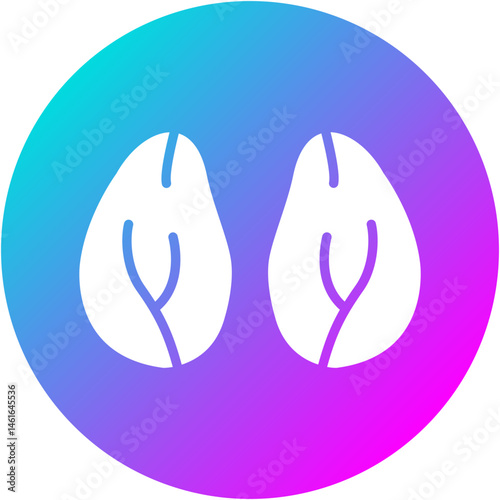 Kidney Icon