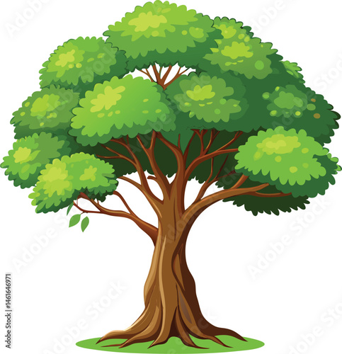 Full-grown tree