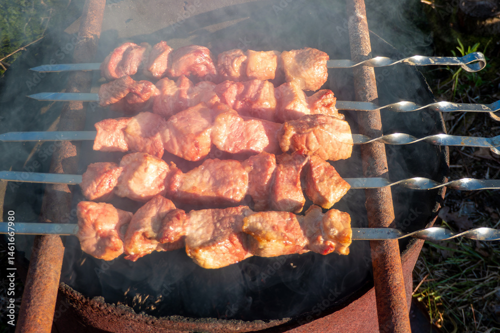 Close up grilling barbecue in the campground at summer camp travel, Skewers of pork and beef fillet on barbecue party dinner in camping, Summer Camp Travel one activity for relaxing.
