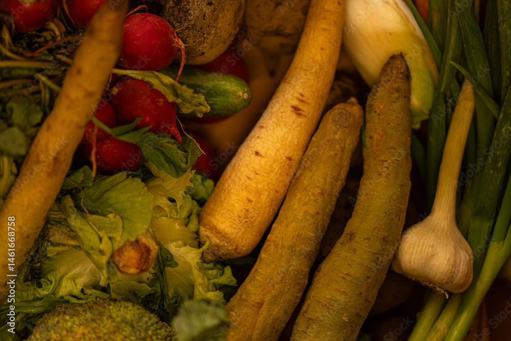 A vibrant mix of freshly harvested organic vegetables, including radishes, parsnips, garlic, and more. Perfect for healthy cooking.