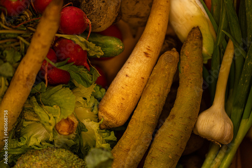 Obraz na płótnie A vibrant mix of freshly harvested organic vegetables, including radishes, parsnips, garlic, and more. Perfect for healthy cooking. w salonie