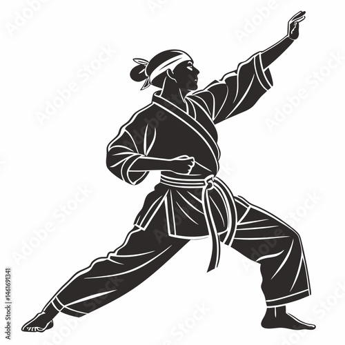 vector illustration of a karate man