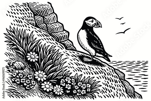 50 Detailed pen and ink illustration, puffin perched on rocky cliff, coastal vegetation, black and white drawing, intricate linework, nature scene, seabird, textured rock face, precise cross-hatching,