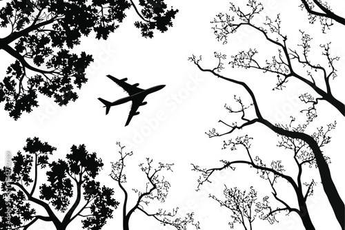 52 Black and white photography, airplane silhouette, tree canopy, leaf silhouettes, nature framing, high contrast, looking up perspective, commercial airliner, forest view, intricate branches, dramati