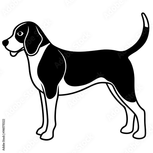 beagle dog vector illustration