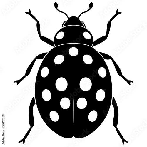 "Black silhouette of a ladybug from top view, simple dots visible, clean design"