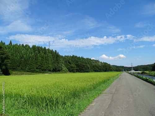 夏の農村風景