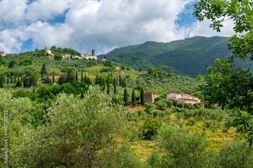 Wallpaper Mural Scenic landscape of northern Tuscany, Italy, featuring vineyards, olive groves, and traditional countryside houses with hills and green mountains in the background. Torontodigital.ca