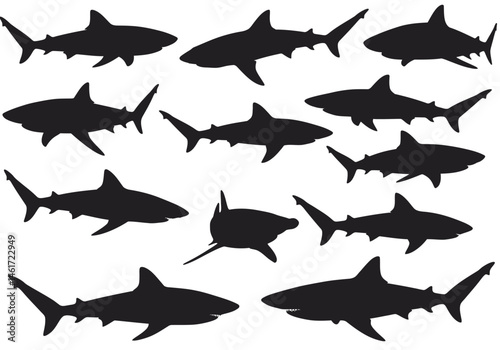 An Array of Sharks Silhouetted Against a White Background Showcasing A Variety of Species with Sharp Teeth and Distinctive Fins Swimming in Different Directions in The Ocean A Dangerous Predator	