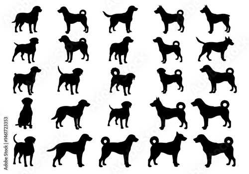 A Comprehensive Exploration of Canine Diversity Analyzing Silhouette Variations to Understand Breed Characteristics Morphology Behavioral Traits and Adaptation Across the Vast World of Dogs and Their 