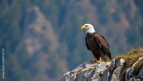 Obraz na płótnie Bald Eagle Perched on Rocky Outcrop with Majestic Mountain Landscape in Background w salonie