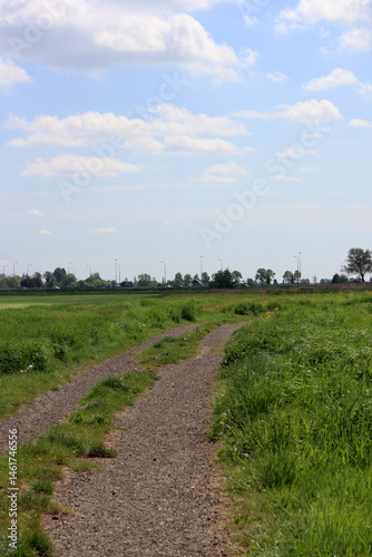 Dirt road through a meadow in the countryside, closeup of photo