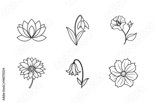 Elegant hand drawn botanical illustration of various flower outlines for design elements