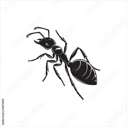 Black Ant Silhouette Vector Illustration