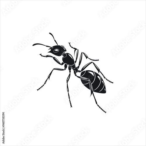 Black Ant Silhouette Vector Illustration