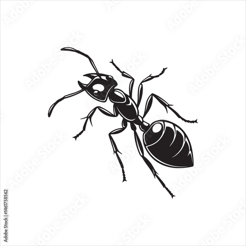 Black Ant Silhouette Vector Illustration