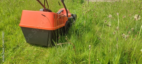 lawn mower mows grass in the garden
