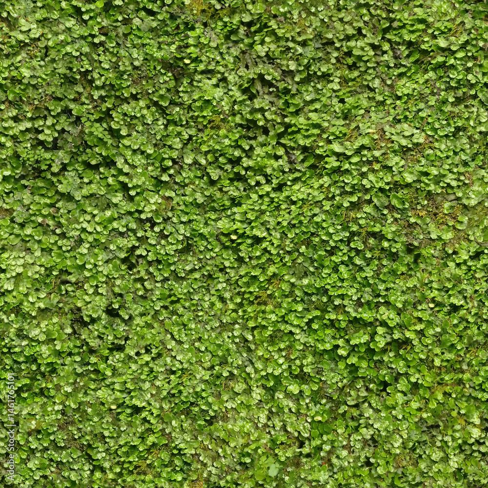 The Seamless Green Wall Texture The Seamless Green Wall Texture