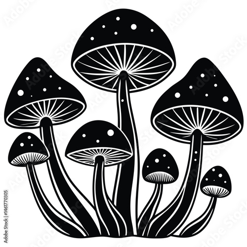 Mushroom vector Silhouette illustration Psilocybin mushrooms (scientific style)