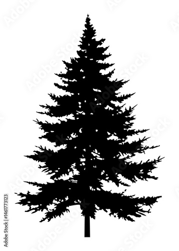 Fir trees silhouette. Black silhouette of sine tree on white background. illustration