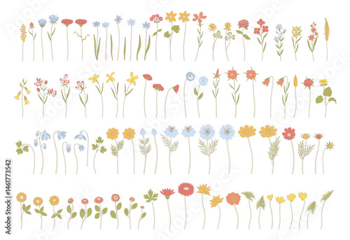 Set of colorful wildflowers with contour. Hand-drawn diverse meadow flowers, herbs, and wild plants. Botanical elements for design projects. Detailed floral vector illustration