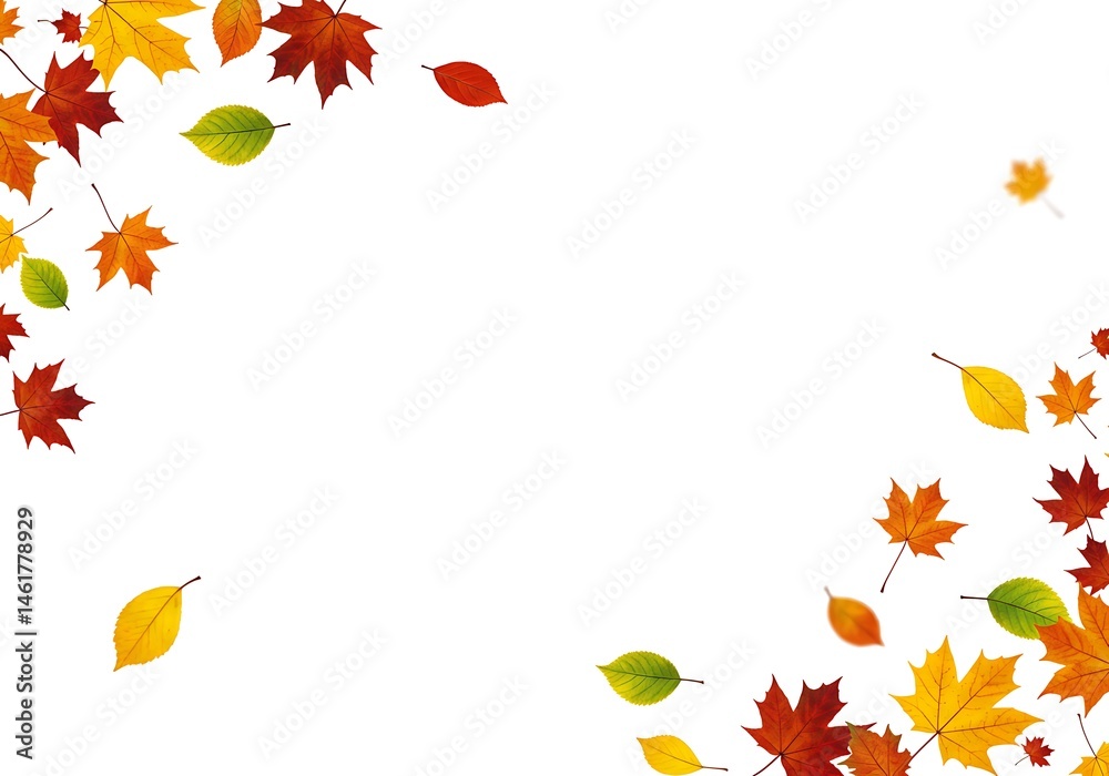 Autumn leaves of various colors scattered on a white background creating a border effect design 100 Autumn leaves of various colors scattered on a white background creating a border effect design 100