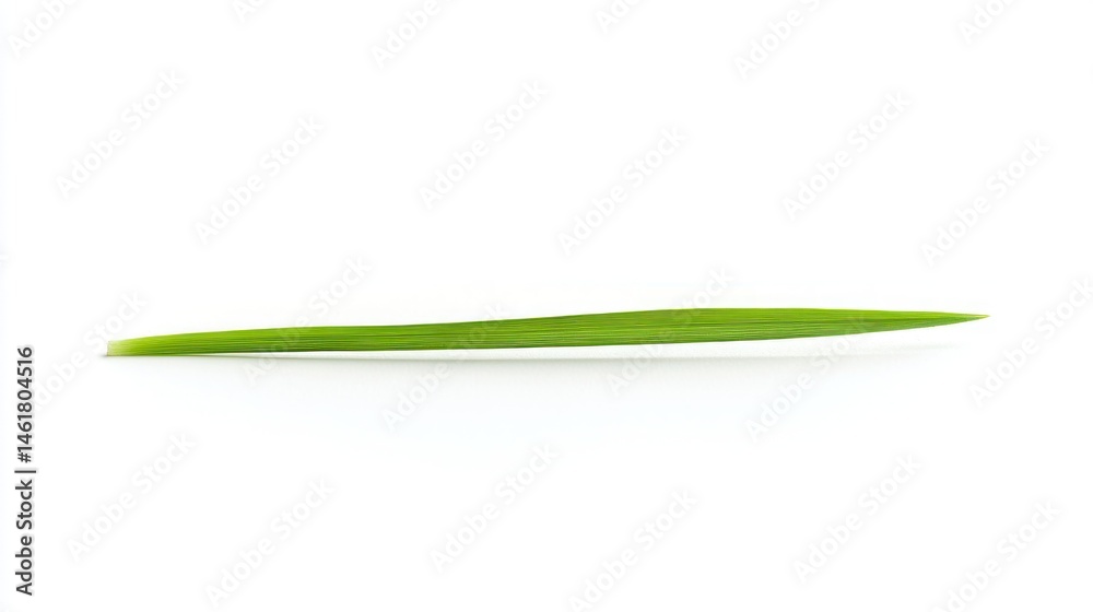 Fototapeta premium A single grass blade placed neatly on a white background