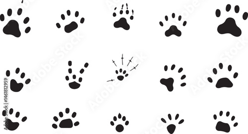 Create a Animal tracks foot print guide vector vector art with white background.