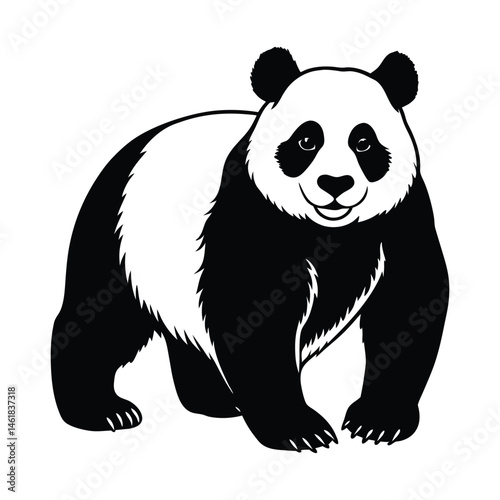 Adorable black and white panda bear standing in full frontal vector illustration
