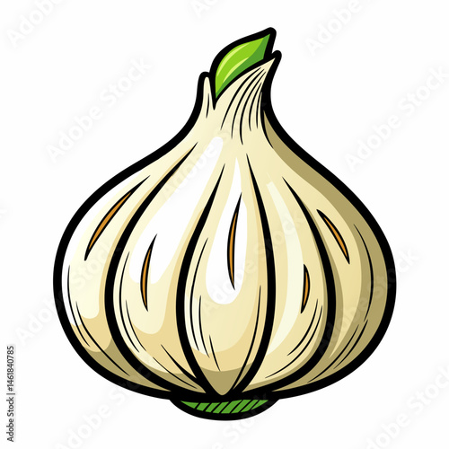 Hand-Drawn Garlic Doodle Vector Illustration On A white Background