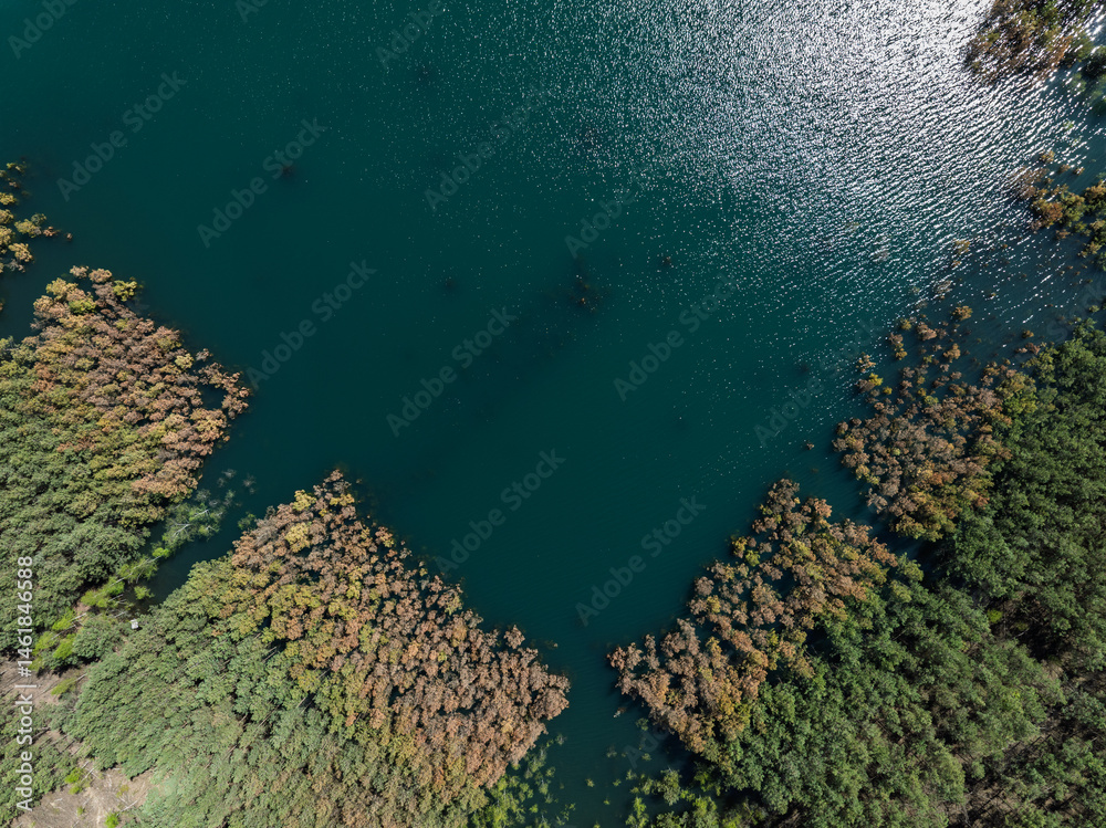 Lake District swallow hole flooded as a result of the mining damage Pomorzany mine in Olkusz,Poland. Aerial drone view of flooded sand pit. Forest submerged in a lake. Sunken sandpit with clear water