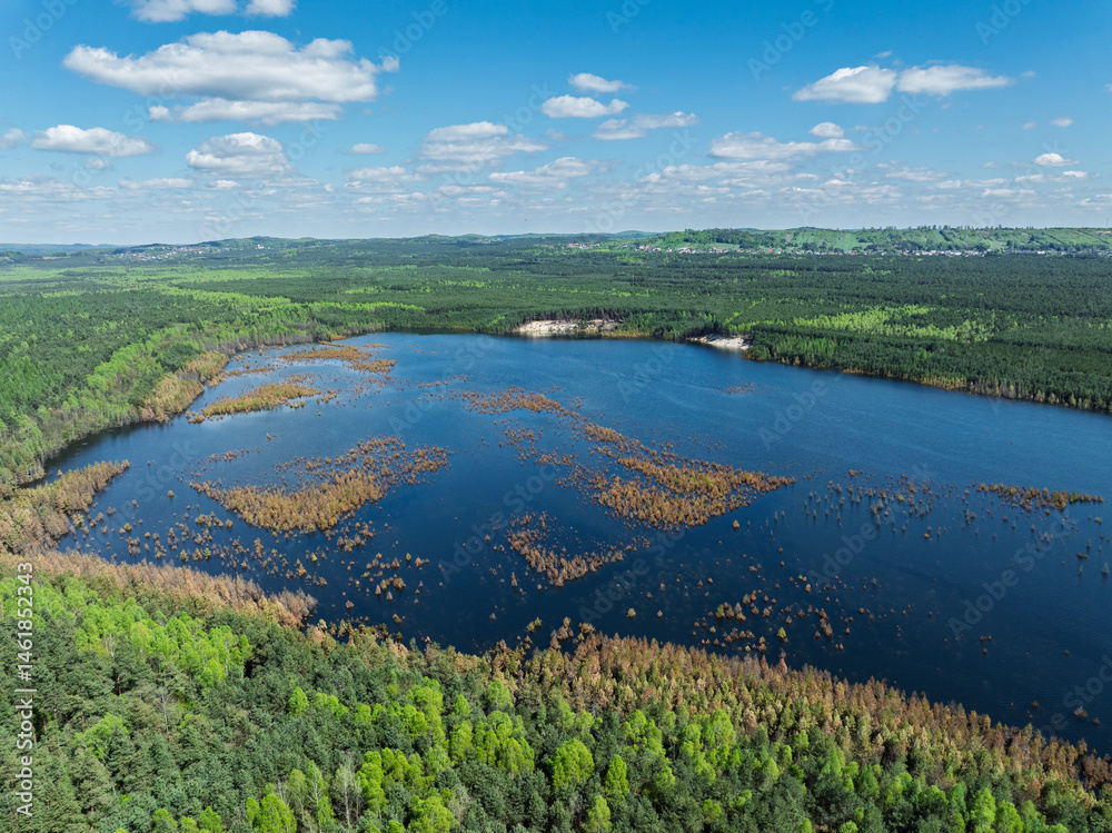 Lake District swallow hole flooded as a result of the mining damage Pomorzany mine in Olkusz,Poland. Aerial drone view of flooded sand pit. Forest submerged in a lake. Sunken sandpit with clear water