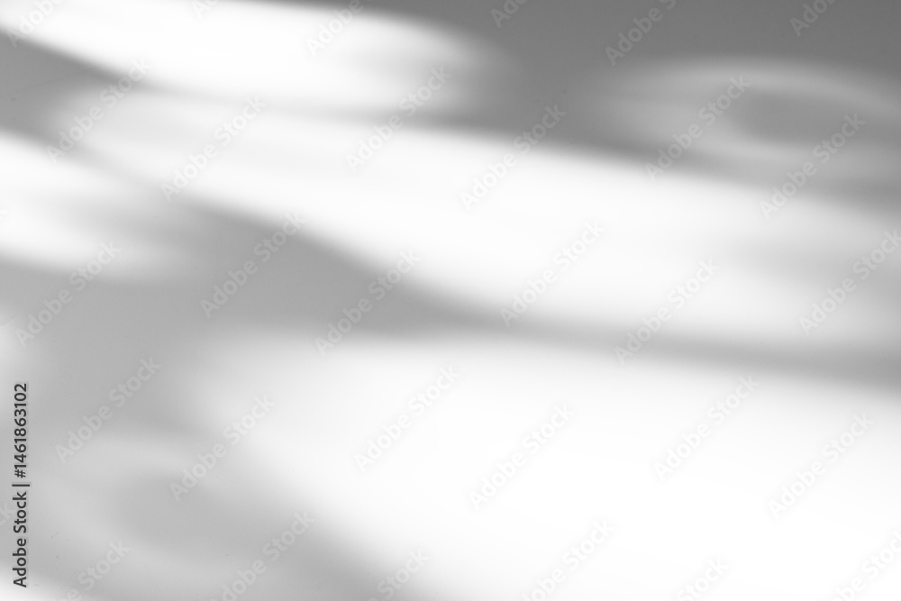 Obraz premium shadow overlay effects of realistic tree branch and foliage leaves shadow isolated on transparent background,Summer abstract shadow overlay ,shadow for photo interior backdrop studio floor mockup