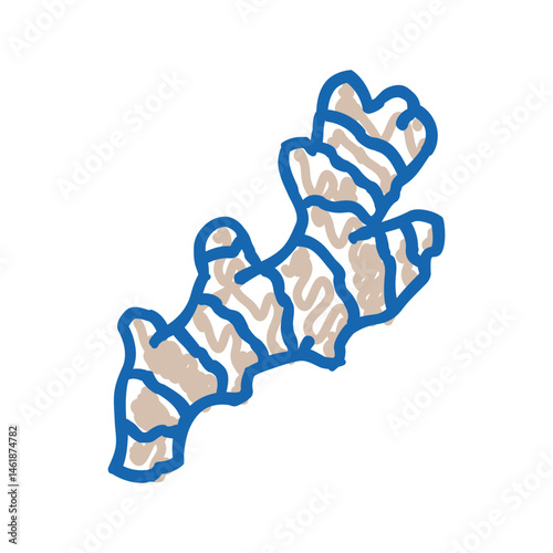 ginger root ayurvedic herb icon doodle illustration