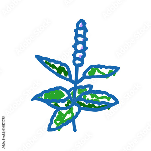 holy basil ayurvedic herb icon doodle illustration