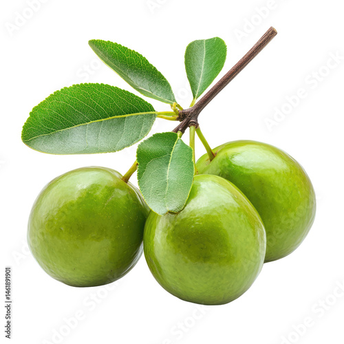 Unripe Kakadu Plum Fruit with Leaf Isolated on White Background