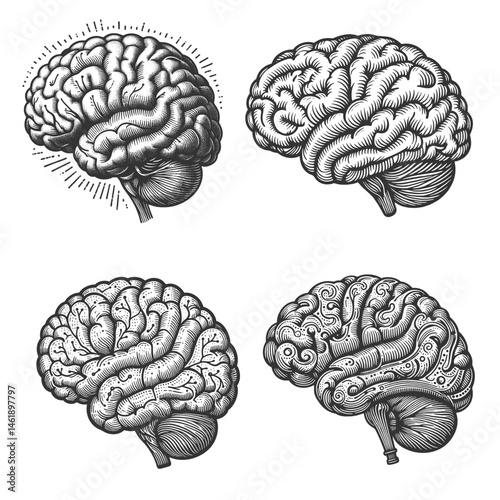 Human Brain Set collection bundle sketch engraving generative ai vector illustration. Scratch board imitation. Black and white image.