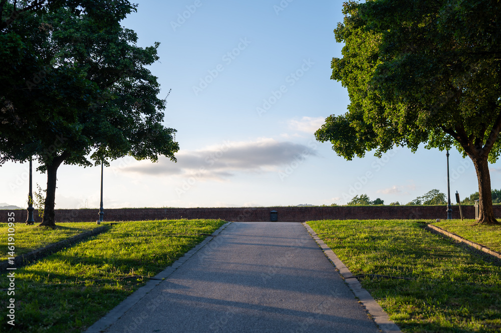 Obraz premium Evening walk along the historic city walls of Lucca, Tuscany, Italy. Lined with trees, the path glows in the warm light of the setting sun, offering a tranquil atmosphere.