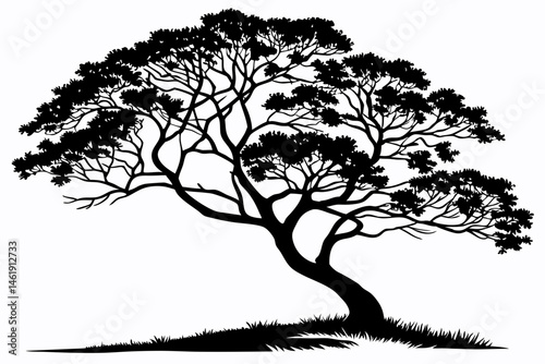 coffee tree sihouette black vector