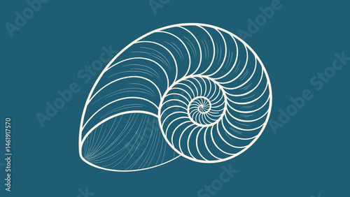 White spiral nautilus shell on dark blue background with copy space