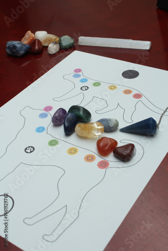 Pet chakras healing therapy