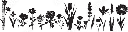 Set of silhouette flowers rose, chamomile, daisy, campanula, iris, Tulip, spring-summer forest and garden field flower, black color isolated on a white background