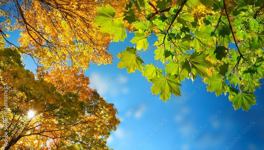 custom made wallpaper toronto digitalgreen maple leaves against the yellow leaves and blue sky